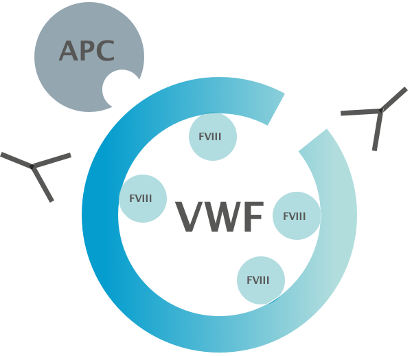 vwf