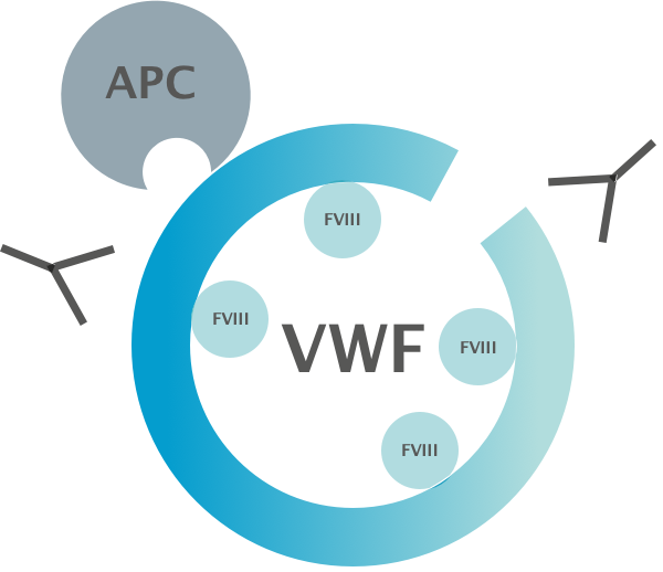 circle1.png