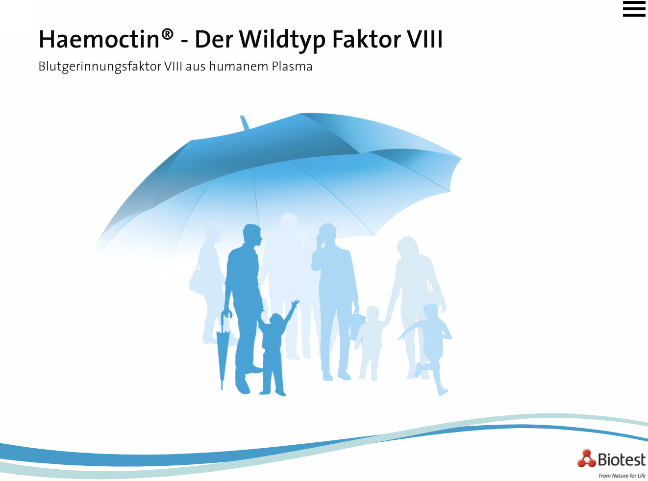 Vorschau Seite 1