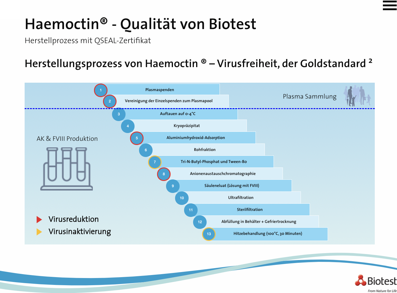 Vorschau Seite 5